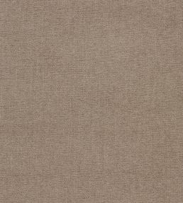 Jaipur Fabric by Clarke & Clarke Bark
