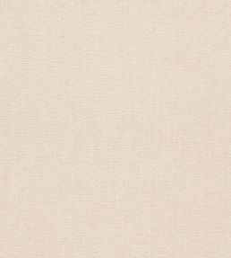 Jaipur Fabric by Clarke & Clarke Birch