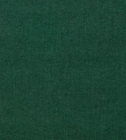 Jaipur Fabric by Clarke & Clarke Forest