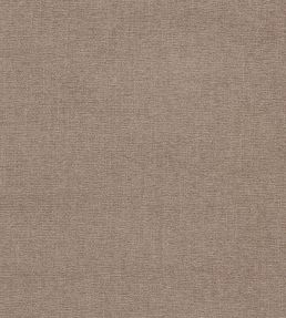 Jaipur Fabric by Clarke & Clarke Fossil