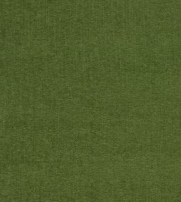 Jaipur Fabric by Clarke & Clarke Herb