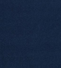 Jaipur Fabric by Clarke & Clarke Ink