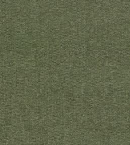 Jaipur Fabric by Clarke & Clarke Moss