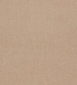 Jaipur Fabric by Clarke & Clarke Putty