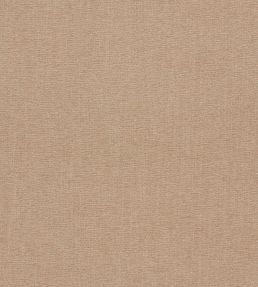 Jaipur Fabric by Clarke & Clarke Shale
