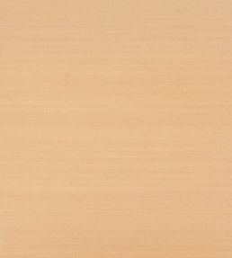 Klint Wallpaper by Jane Churchill Copper