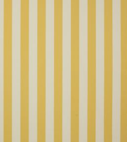 Alda Stripe Fabric by Jane Churchill Yellow
