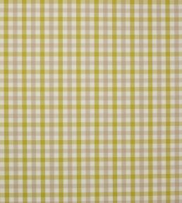 Kali Check Fabric by Jane Churchill Leaf Green
