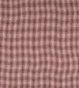 Jay Check Fabric by Colefax and Fowler Pink
