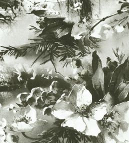 Brume Wallpaper by Jean Paul Gaultier Ecru / Noir