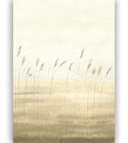 Jonc Des Dunes Mural by Casadeco Ble