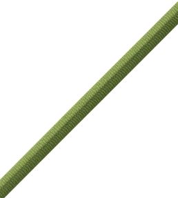 Julienne 2-tone Double Welting Trimming by Samuel & Sons Cilantro