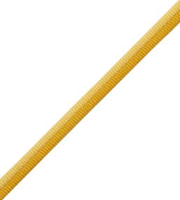 Julienne 2-tone Double Welting Trimming by Samuel & Sons Gold Finch