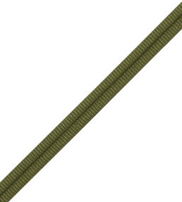 Julienne Double Welting Trimming by Samuel & Sons Evergreen