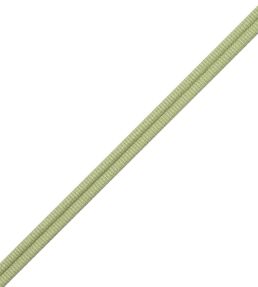Julienne Double Welting Trimming by Samuel & Sons Honeydew