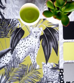 Jungle Cheetah Wallpaper by Ohpopsi Sable & Lime