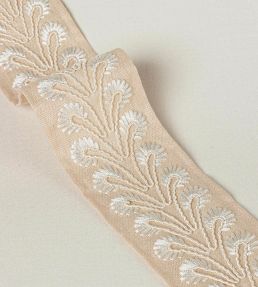 Juniper Braid Trimming by Colefax and Fowler Beige