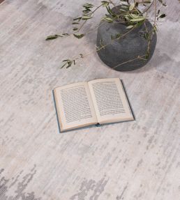 Asiatic Juno rug Greige JUNO-02-120170 Greige