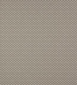 Juno Fabric by Jane Churchill Silver