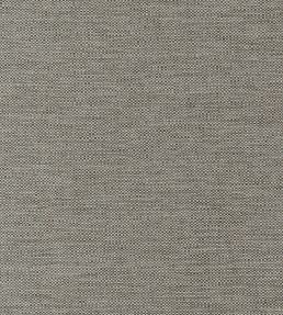 Kaden Fabric by Thibaut Ebony