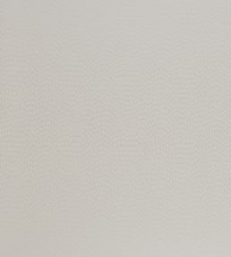 Sudetes Fabric by Kai Oyster