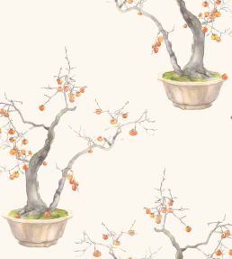 Kaki Persimmon Wallpaper by Cole & Son Ivory & Bergamot
