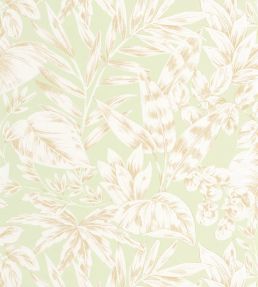 Kalea Wallpaper by Caselio Vert amande