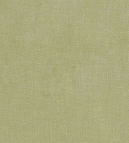 Kauri Fabric by Camengo Olive