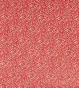 Kemble Fabric by Colefax and Fowler Coral