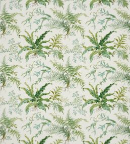 Kendal Fabric by Colefax and Fowler Leaf Green