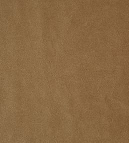Kensington Fabric by Prestigious Textiles Antique