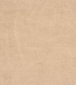 Kensington Fabric by Prestigious Textiles Calico