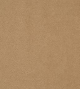 Kensington Fabric by Prestigious Textiles Cappucino
