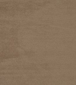 Kensington Fabric by Prestigious Textiles Fawn