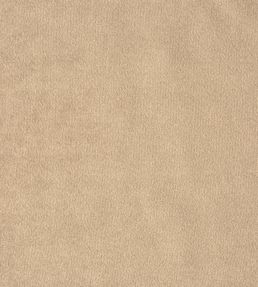 Kensington Fabric by Prestigious Textiles Parchment