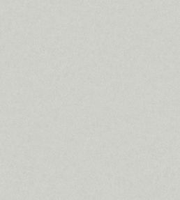 Kim Wallpaper by Borastapeter Neutral Grey