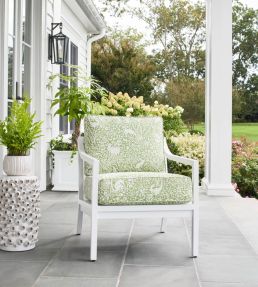 Kindred Fabric by Thibaut Pear