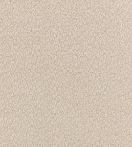 Kitty Fabric by Romo Briosca