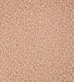 Kitty Wallpaper by Romo Powder Room