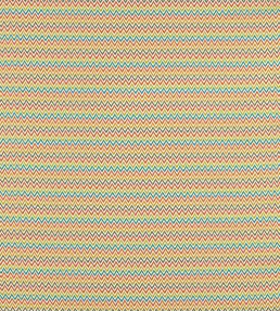 Klaudia Outdoor Fabric by Clarke & Clarke Summer