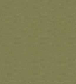 Koki Fabric by Warwick Apple