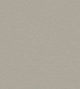 Koki Fabric by Warwick Chino