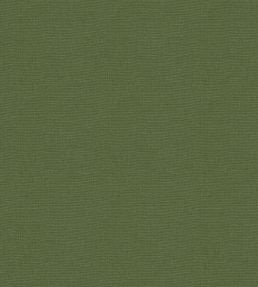 Koki Fabric by Warwick Kiwi