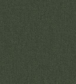 Krayola Fabric by Warwick Fern