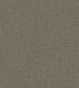 Krayola Fabric by Warwick Putty