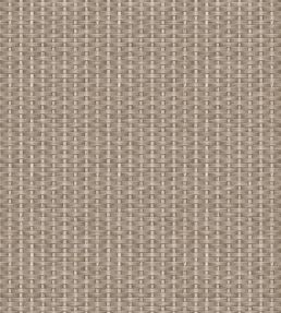 Kuba Wallpaper by Coordonne Nude