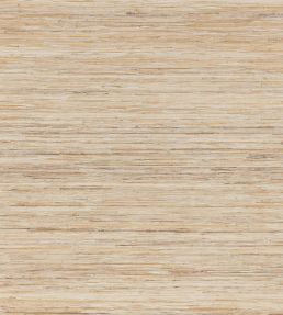 Kuima Wallpaper by Mark Alexander Salt Marsh