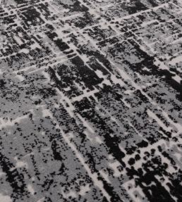 Asiatic Kuza Abstract rug Black KUZA1201700012 Black