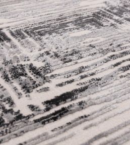 Asiatic Kuza Portrait rug Grey KUZA0801500031 Grey