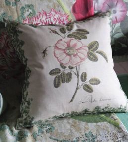 La Rose Cushion 50 x 50cm by Designers Guild Rose